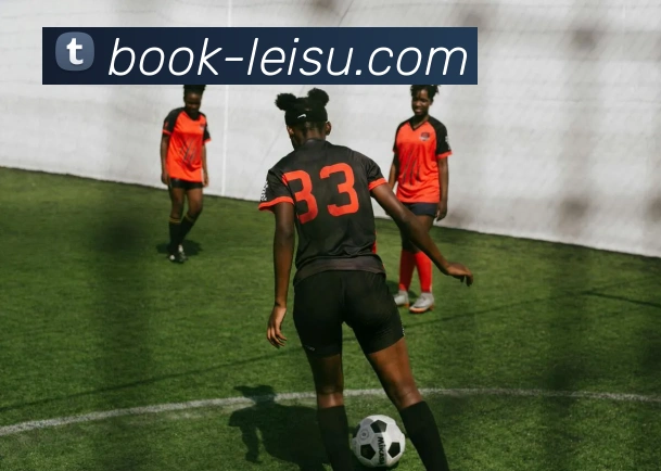 App Interface Preview